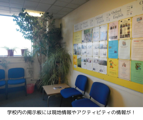 学校内の掲示板には現地情報やアクティビティの情報が！