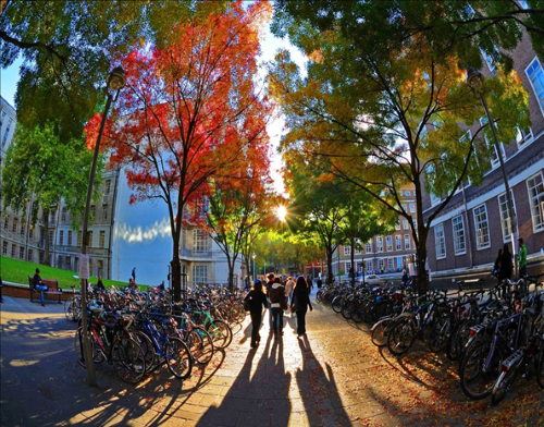 SOAS University of London